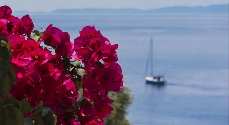 Sivota Seascape Luxury Villas & Residences Dış mekan fotoğraf